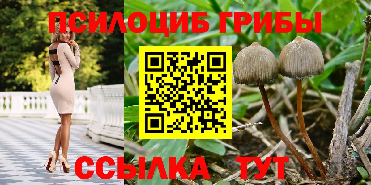 Галлюциногенные грибы прущие грибы Кашира