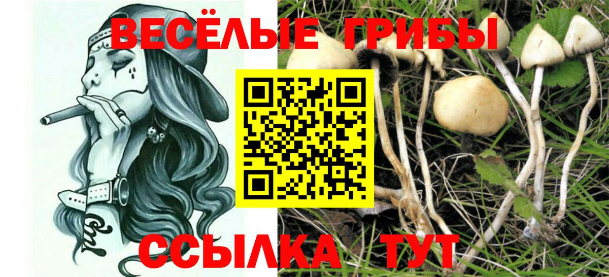 Псилоцибиновые грибы Psilocybe  Вход с VPN  закладка  Кашира 